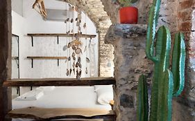 Green Cactus House